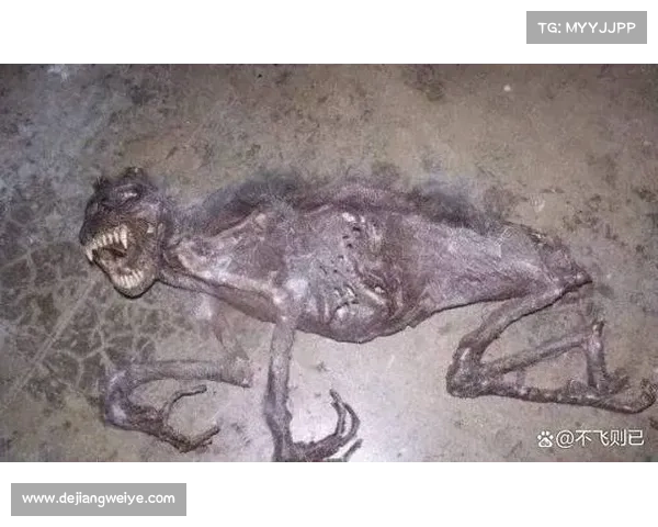 揭秘古代传说神秘生物背后真相与探索未知世界的奇幻方法 揭秘古代传说神秘生物背后真相与探索未知世界的奇幻方法