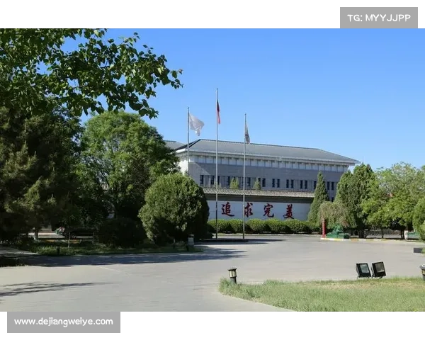 巴舒亚伊掌握五种语言的秘密全面揭秘展现多语言天赋魅力